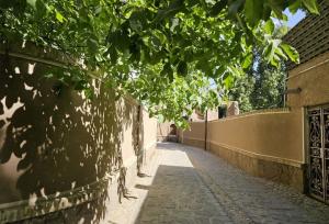 طرح ملی «هر روستا، یک بوم‌گردی» محور تحول در اشتغال و فرهنگ محلی