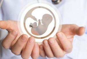 فرزندآوری را به تعویق انداخته‌اید؟ تخمک یا جنین را فریز کنید تا زمان از دست نرود