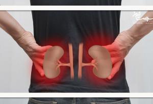 نوشیدن مایعات در پیاده‌روی اربعین؛ کلیدی برای پیشگیری از نارسایی کلیه