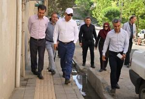 خرگوش‌دره به زودی تفرجگاه جدید تهرانی‌ها می‌شود