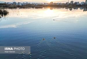 لرستان با ۱۶ تالاب، اکوسیستمی مناسب برای زمستان‌گذرانی پرندگان آبزی و کنار آبزی است