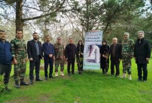 کاشت نهال گونه‌های جنگلی در بندرانزلی