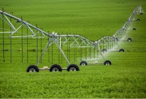 عباسی: تجهیز ۳.۲ میلیون هکتار از اراضی کشور به سامانه‌های نوین آبیاری