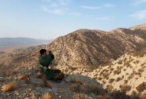 شکاریان: سرشماری پاییزه حیات‌وحش خراسان شمالی پایان یافت