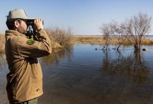 اکران طرح «روز محیط‌بان» در پایتخت + تصویر