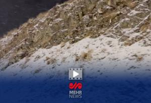 گزارش خبرنگار مهر از بارش برف در جاده چالوس