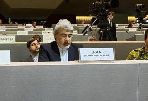 تأکید سفیر ایران بر لزوم بی‌طرفی اقدامات جهانی کاهش بلایا