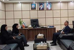 سمن‌ها بازوان دولت در مسائل اجتماعی هستند