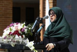 مهاجرانی:  کشور با کسری ۲۰ هزار مگاواتی برق مواجه است
