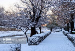 هشدار نارنجی در استان سمنان؛ هم‌نشینی برف، کولاک و یخ‌بندان
