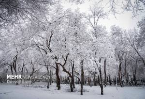 ورود سامانه بارشی جدید از امشب؛ کاهش ۷ درجه‌ای دما در پایتخت