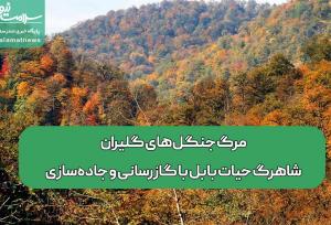 مرگ جنگل‌های گلیران،شاهرگ حیات بابل با گازرسانی و جاده‌سازی