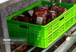 رضوان: گوشت‌های قرمز و سفید غیرقابل مصرف در کاشان جمع آوری و معدوم شد