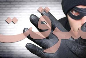 کشف ۲۰ فقره سرقت در سنندج