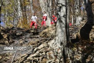افزایش گشت‌ها با بالا رفتن احتمال وقوع حریق در جنگل های هیرکانی