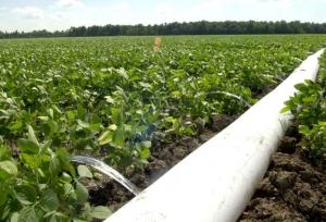 جذب ۱۰۰ میلیارد تومان اعتبار برای طرح‌های نیمه‌تمام انتقال آب چهارمحال و بختیاری