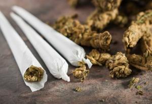 افزایش جرم در ایالت‌های مصرف‌کننده گل