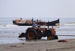 ممنوعیت صیادی در مازندران؛ زلزله گزنک خسارت نداشت