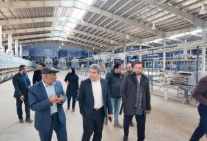 چرخ‌های اقتصاد استان سمنان در حرکت؛ نگاه ویژه به احیای واحدهای راکد