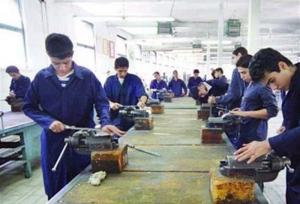 نیاز بازار کار به مهارت است نه مدرک