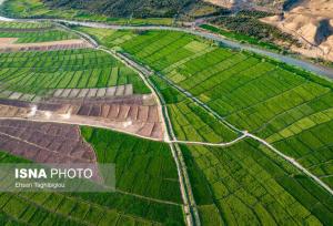 رفع تداخل ۱۰۵ هزار هکتار از اراضی کشاورزی کهگیلویه و بویراحمد