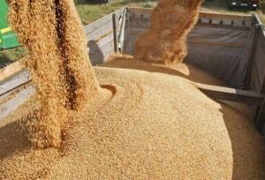 ۱۵ کشتی حامل نهاده دامی از طریق بندر امام خمینی وارد شد