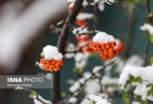 احتمال بارش خفیف برف در البرز