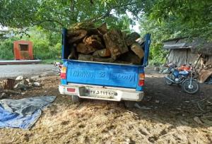 کشف ۸ استر چوب قاچاق جنگلی در نشتارود