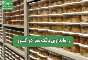 راه‌اندازی بانک مغز در کشور