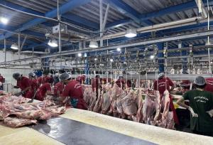 ترخیص ۵۰۰۰ تُن فرآورده دامی از مرز میرجاوه سیستان و بلوچستان