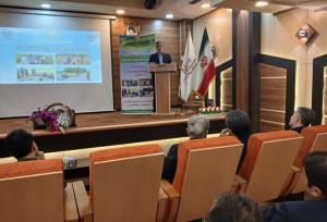 رئیس جهاد کشاورزی گیلان: اقتصادی‌شدن کشاورزی مانع تغییر کاربری اراضی است