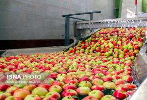 پرداخت تسهیلات رونق تولید به ۱۰۰ طرح کشاورزی گیلان