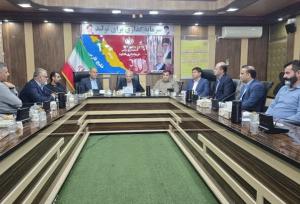 معاون فرماندار گناوه: طرح پایلوت مناسب‌سازی تردد معلولان  اجرا می‌شود