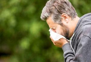 باد پاییزی ذرات آلرژی را در هوا پخش می‌کند؛ مراقب ریه‌ها باشید