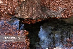 پایان هفته بارانی در انتظار گیلان