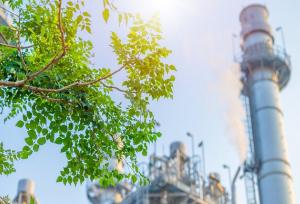 طراحی نیروگاه تولید همزمان برق و حرارت برپایه سوخت زیست‌توده