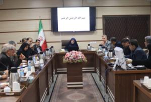 لزوم عملیاتی‌سازی پژوهش‌های حوزه سالمندی