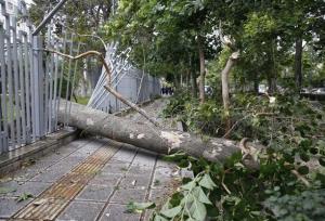 تداوم وزش باد شدید و خیلی شدید در گیلان