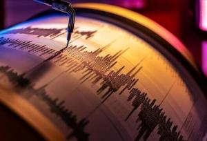 کامفیروز فارس لرزید