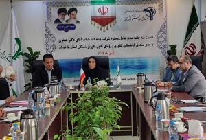 نشست مدیرعامل بیمه دانا با رئیس صندوق بازنشستگی مازندران