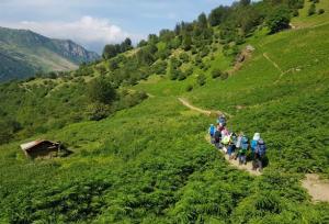 رئیس فدراسیون کوهنوردی: طرح سیمرغ الگویی برای ترویج صعود ایمن و گردشگری ورزشی است