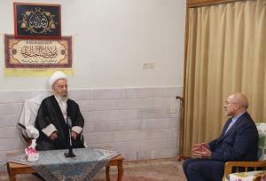 قالیباف:باتصویب مجلس زمین برای ساخت مسکن باید در اختیار مردم قرار گیرد