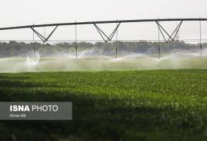 ایجاد اشتغال برای ۱۰۹۱ نفر در بخش کشاورزی گیلان