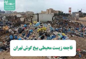 فاجعه زیست محیطی بیخ گوش تهران/ رهاکردن زباله‌ها در منطقه صنعتی کمرد