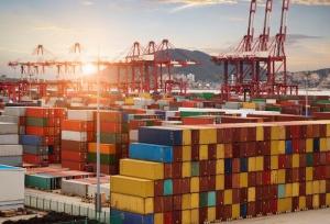 محموله گوشت و برنج وارداتی با ارز آزاد وارد سیستان و بلوچستان شد