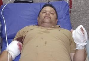 زخمی شدن یک جنگلبان به دست قاچاقچیان چوب در تالش
