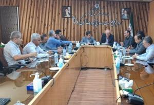تشکیل خوشه فرش کردستان در مسیر تحقق زنجیره ارزش