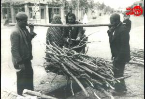 تصاویری تماشایی از آخرین هیزم‌فروشان تهران