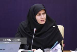 معاون استاندار زنجان: انرژی، محور اصلی توسعه اقتصادی استان است