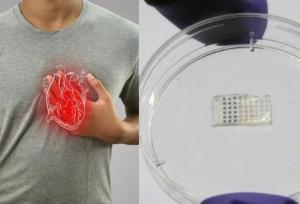 هیدروژلی که قلب را پس از سکته درمان می کند